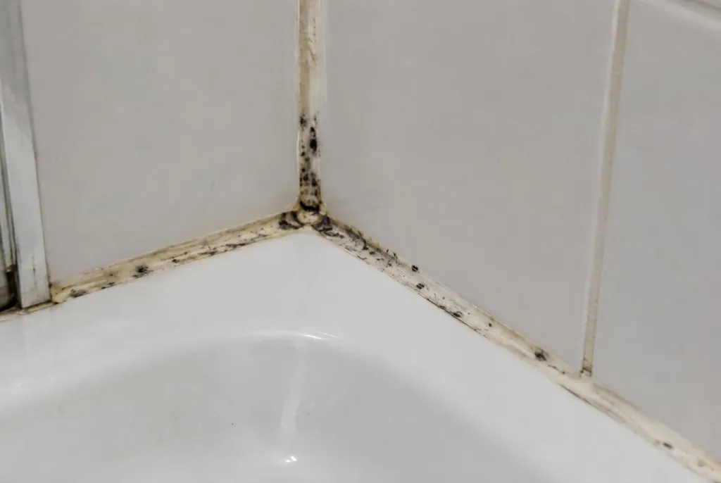 Kitbedrijf Lemmer – beschimmelde kitranden